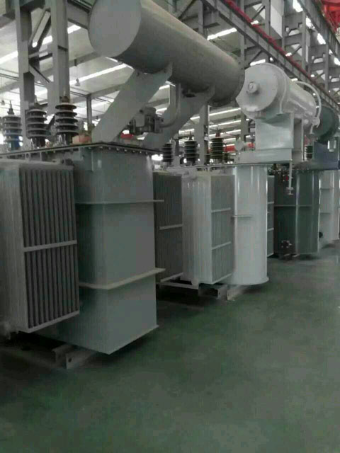 陈巴尔虎S11-6300KVA油浸式变压器